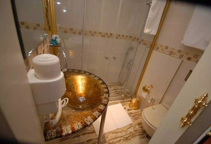 اتاق استاندارد با تخت بزرگ, Galata Palace
