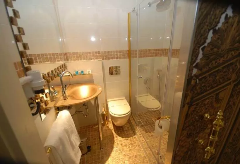 اتاق استاندارد با تخت بزرگ, Galata Palace