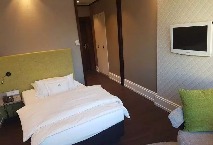 Standard Yhden Hengen Huone, Insel Hotel Heilbronn