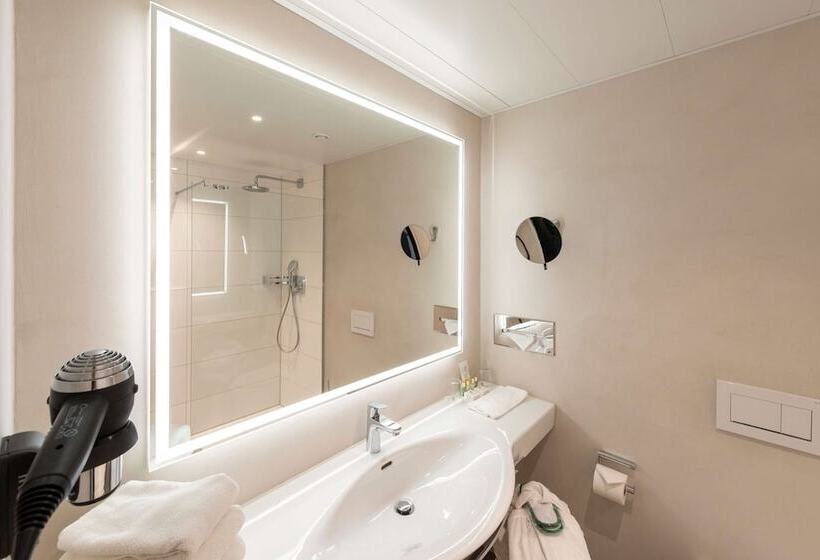 高级单人间, Insel Hotel Heilbronn