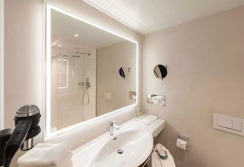 Superior Yhden Hengen Huone, Insel Hotel Heilbronn