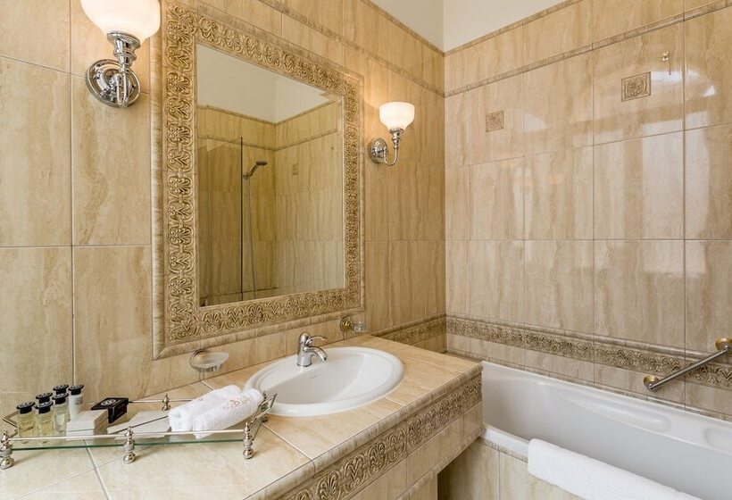 اتاق لوکس با چشم‌انداز, Suter Palace Heritage Boutique