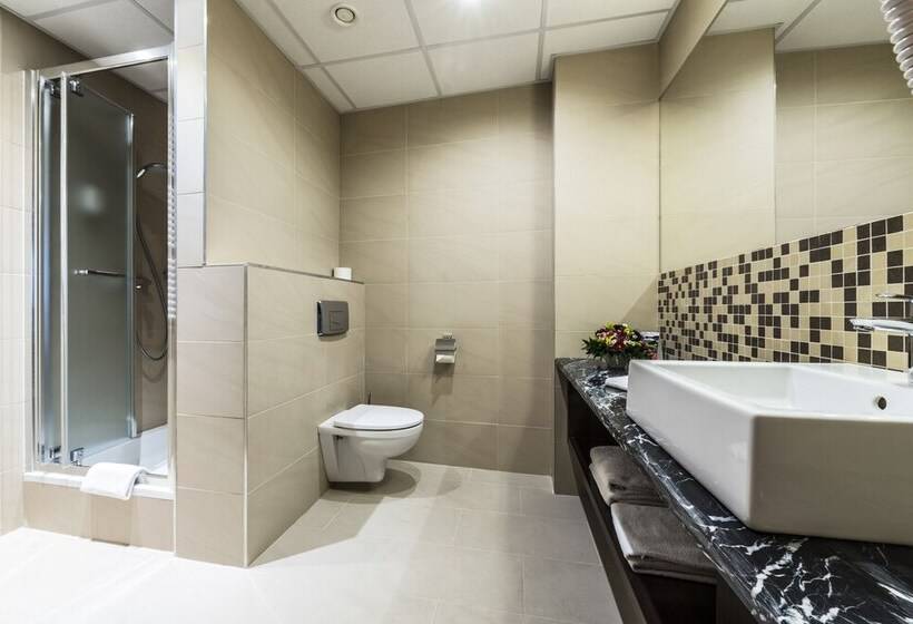 스탠다드 싱글 룸, Victor Pruszków Desilva