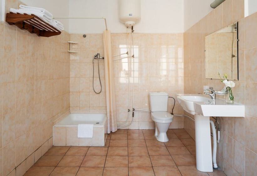 اتاق استاندارد, Tsentralnaya Hotel