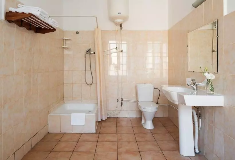 اتاق استاندارد, Tsentralnaya Hotel