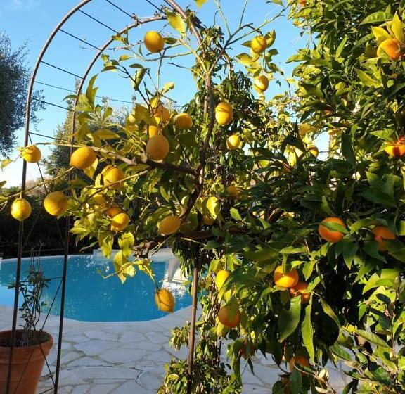 غرفة قياسية, Villa Mia