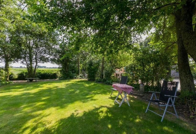 דירת שני חדרים, De Notenboom