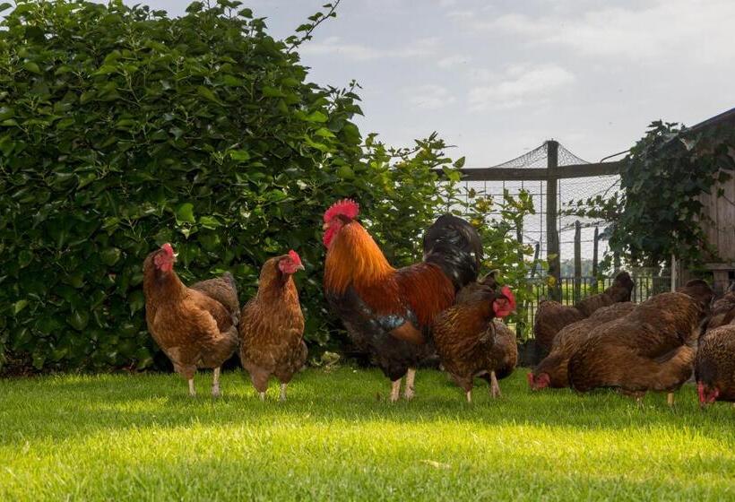 דירת שני חדרים, De Notenboom