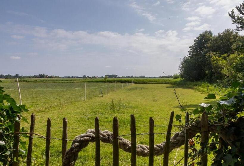 חדר דלוקס, De Notenboom