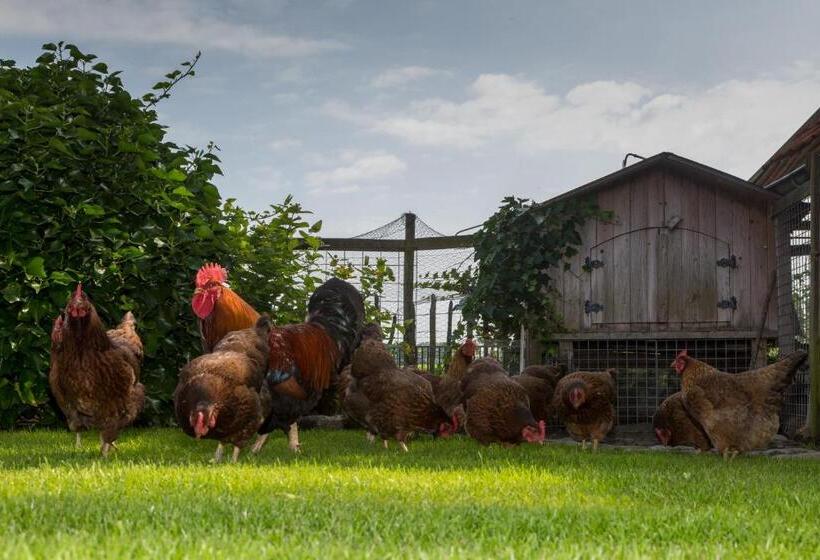 חדר דלוקס, De Notenboom