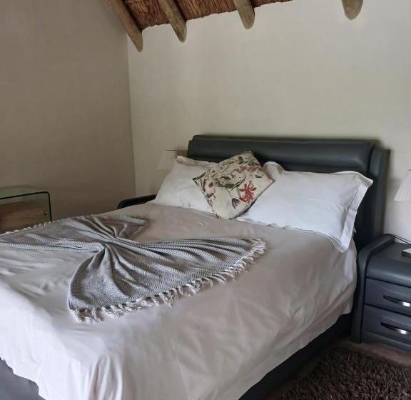 غرفة قياسية سرير ملكى, Cozy Kosmos