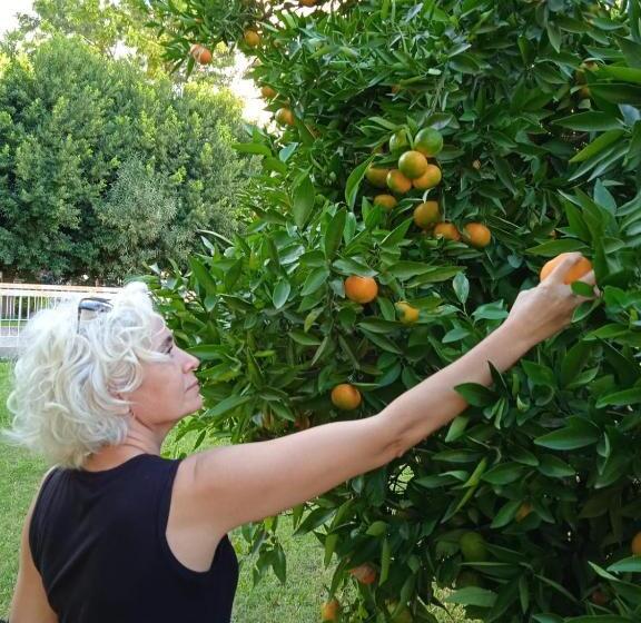 اتاق استاندارد با تخت بزرگ, The Cotton House