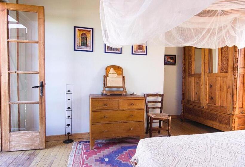 اتاق لوکس, Avli The Courtyard