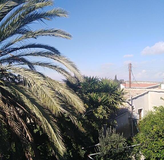 اتاق لوکس, Avli The Courtyard