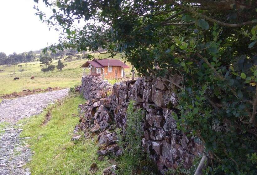 اتاق راحتی سه تخته, Cabanas Fazenda Da Raia