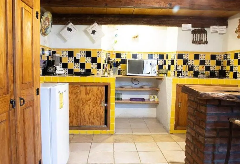 آپارتمان 1 خوابه با تراس, Lofts Las Cuatro Puertas