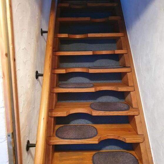 Люкс, Villa Friesenkät