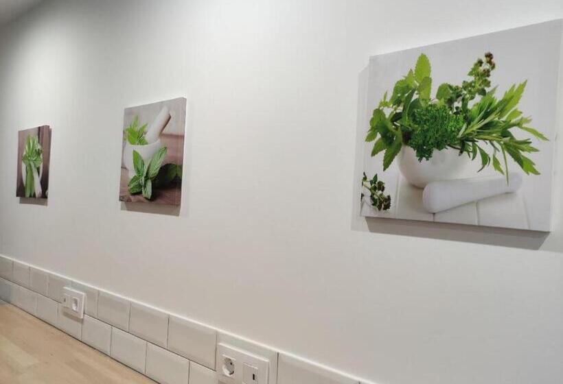 スタンダードインサイドビュールーム, Pension Cando