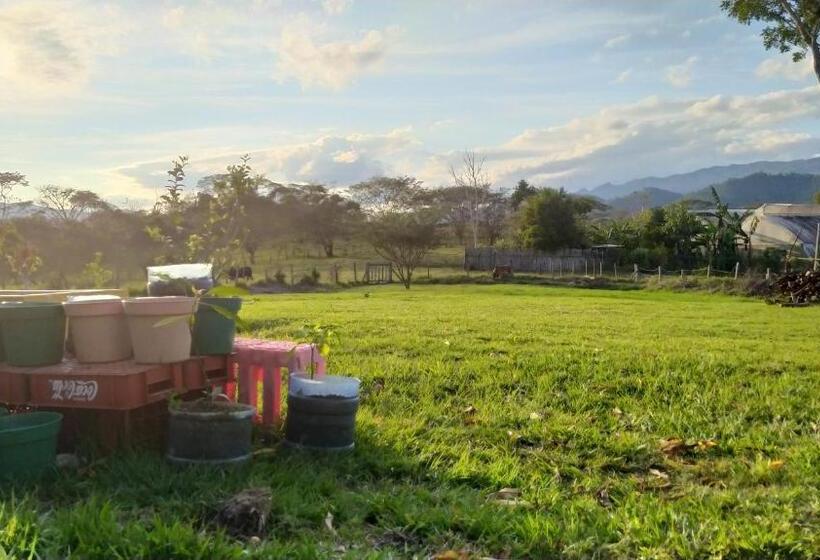 Standard Tent, Casita Tonina