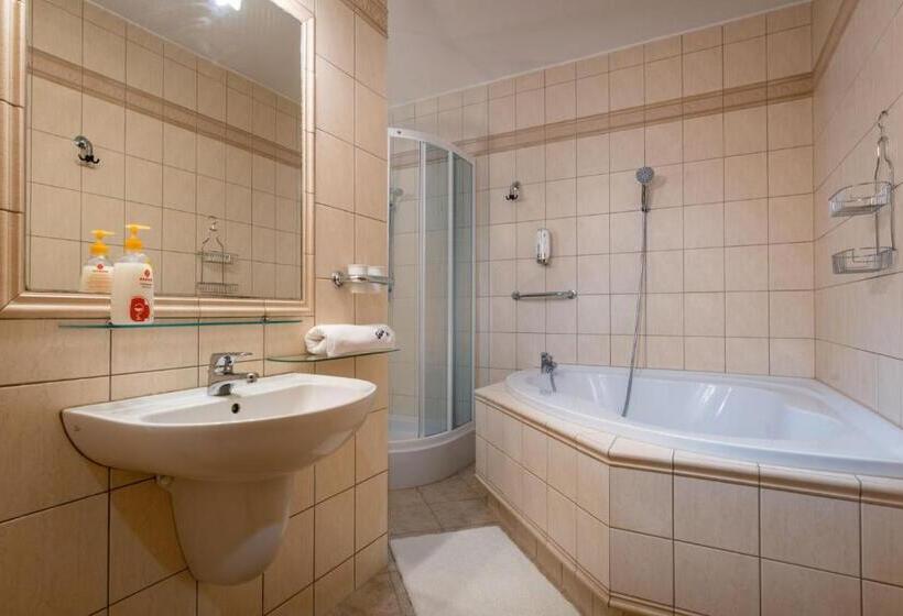 Номер Стандарт, Penzión Snow