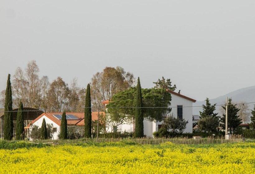 اتاق استاندارد, B&b Podere684