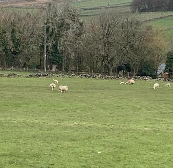 Номер Deluxe Кровать Кинг, Church Gate Farm