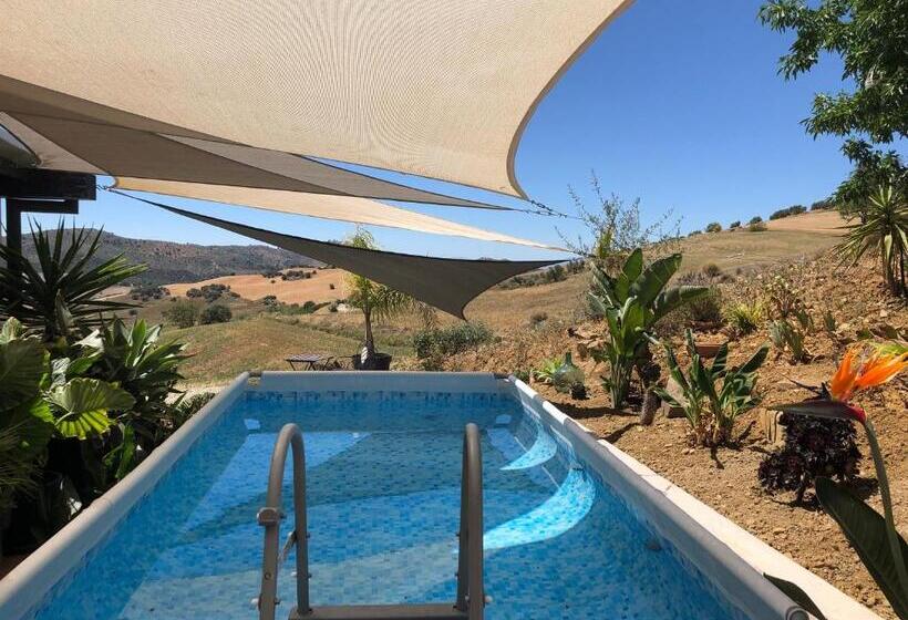 Стандартный Номер Кровать Кинг, Finca Las Campanas Ii