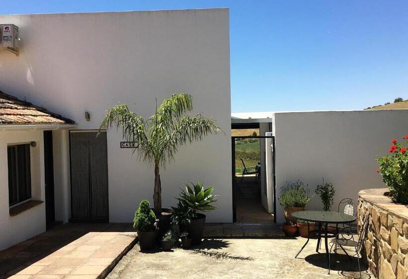 חדר סטנדרט עם מיטת קינג, Finca Las Campanas Ii