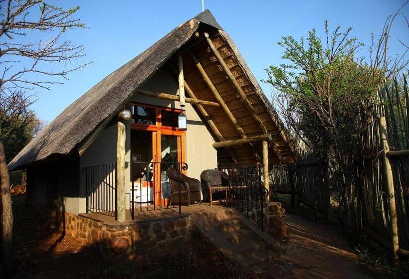 수피리어 테라스 룸, Tidimalo Lodge