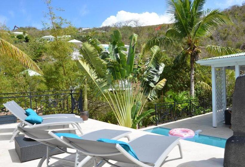 ویلای یک اتاق خوابه با استخر شنا, Villa « Fleur De Pirate »