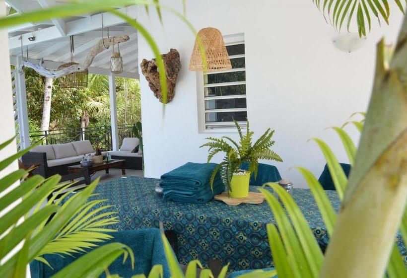 ویلای یک اتاق خوابه با استخر شنا, Villa « Fleur De Pirate »