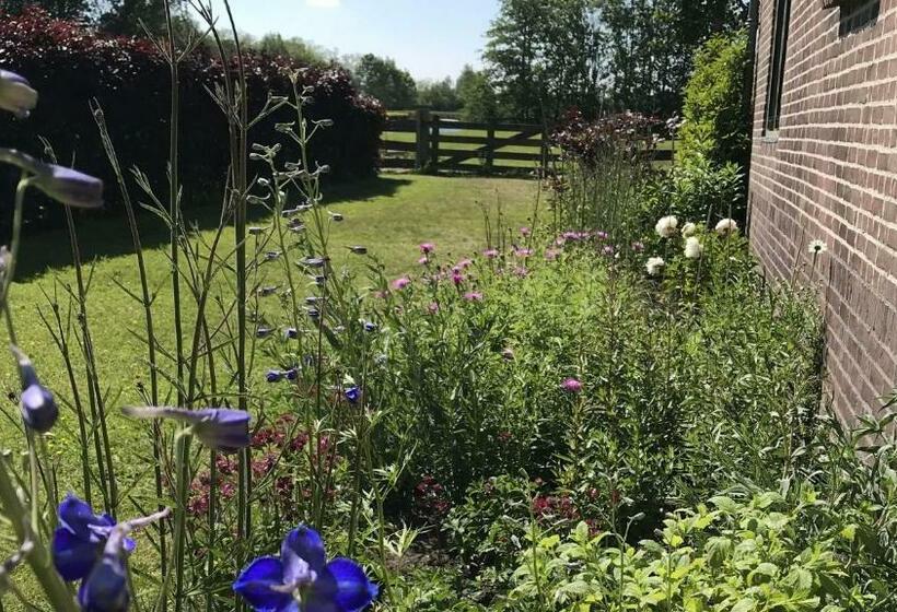 Quarto Estandar, Bed & Breakfast Pax Tibi