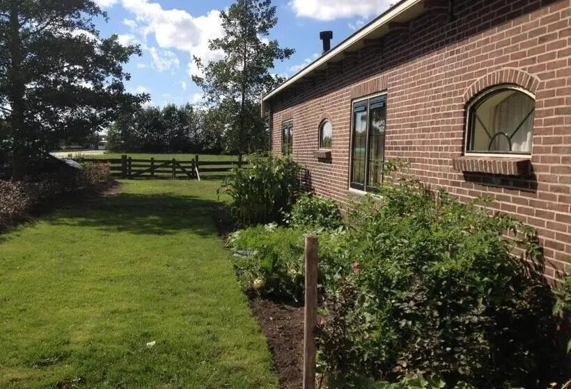 テラス付きスタンダードワンルーム, Bed & Breakfast Pax Tibi