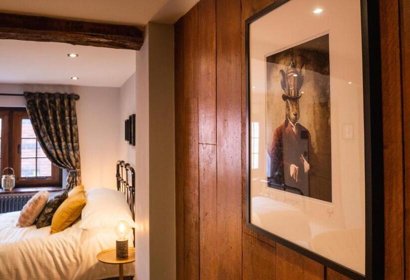 חדר סטודיו סטנדרד, Old Infirmary