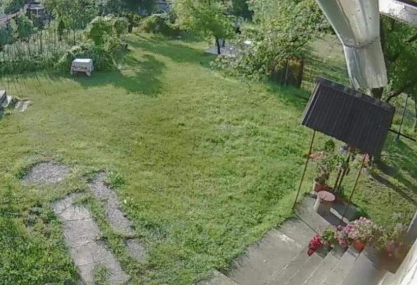 اتاق استاندارد, Pensiunea Adeluta