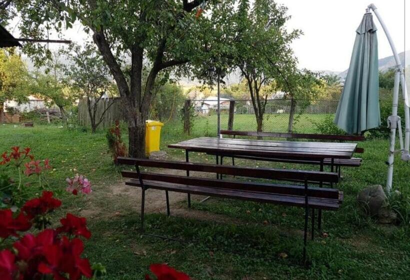 اتاق استاندارد, Pensiunea Adeluta