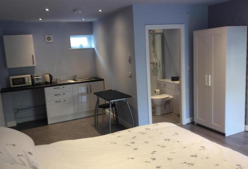 Студия Deluxe, Swans Nest