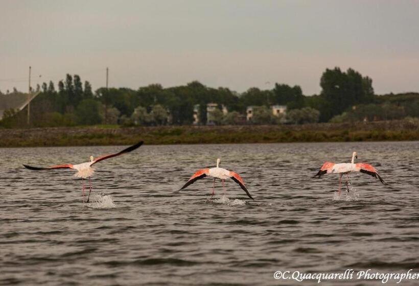 Pokój Deluxe, I Trepponti