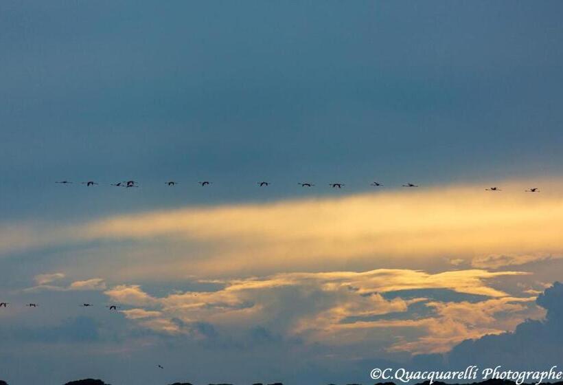 Pokój Deluxe, I Trepponti