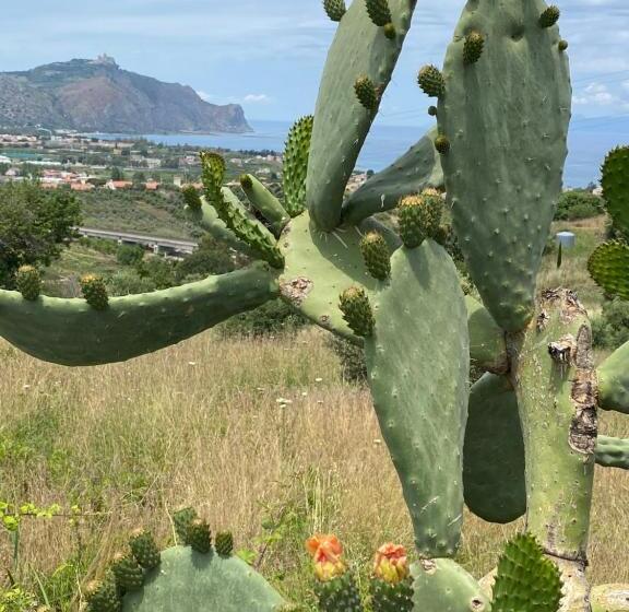 スタンダードルーム, Casa Delle Sirene Nto Principe