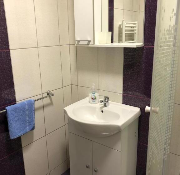 Номер Стандарт Вид на Горы, Pensiunea Bucur