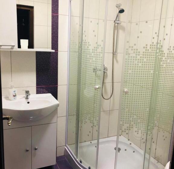 Номер Стандарт Вид на Горы, Pensiunea Bucur