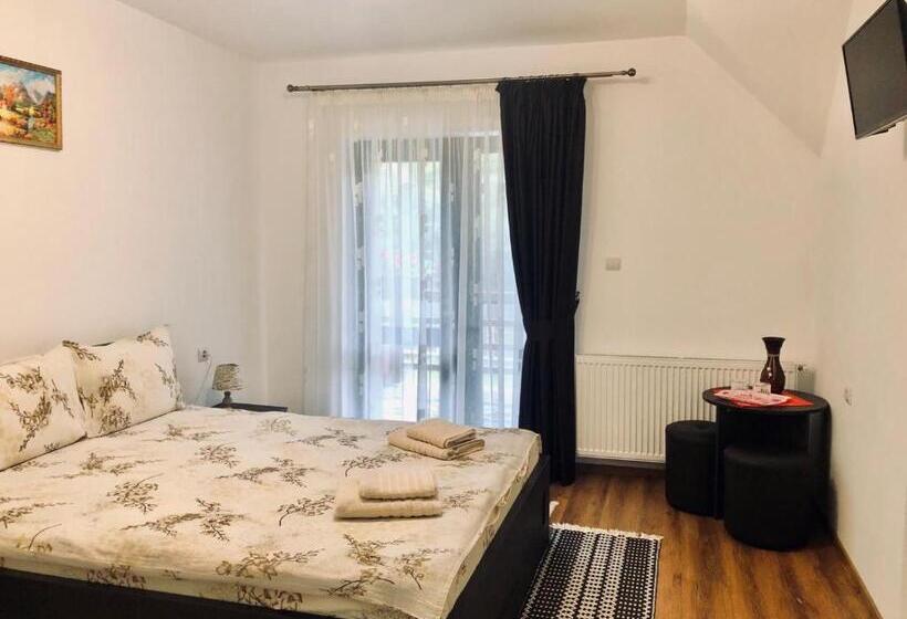 Номер Стандарт Вид на Горы, Pensiunea Bucur