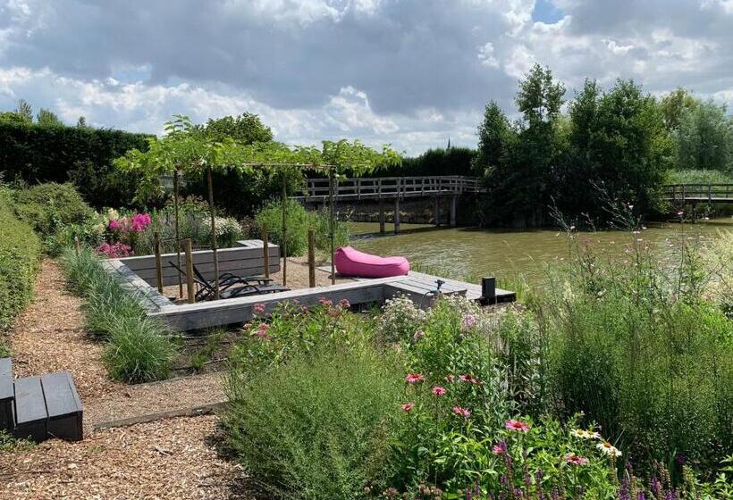 סוויטה דלוקס, Suite & Wellness