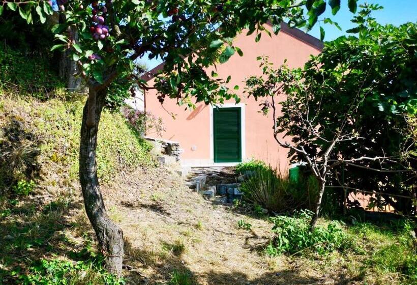 스탠다드 룸 가든 전망, Agriturismo Lavalleggia