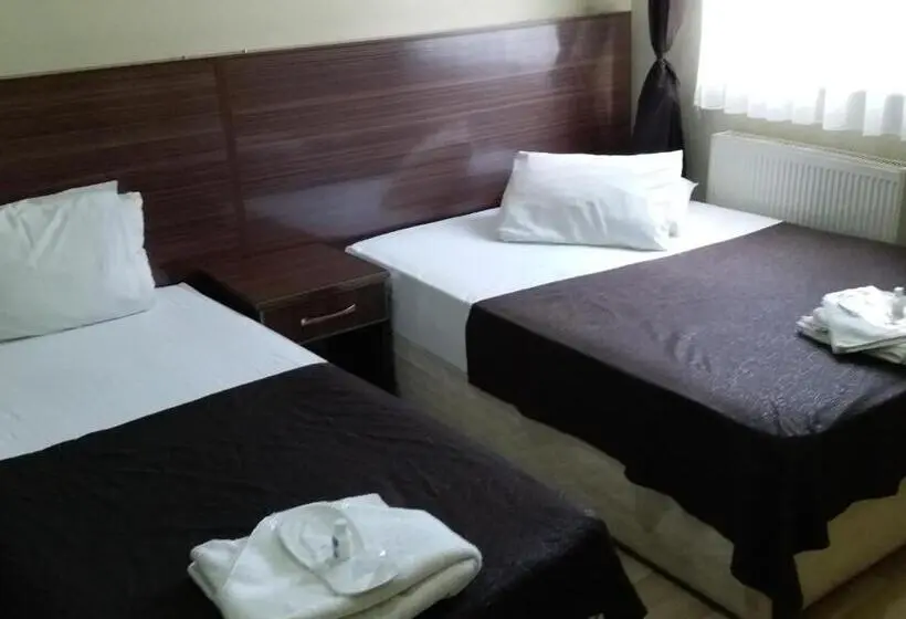 اتاق استاندارد با چشمانداز شهر, Otel Serkan