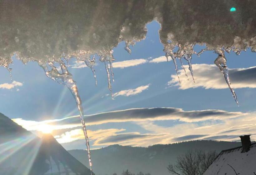 景色の見える一ベッドルームアパートメント, Feielhof