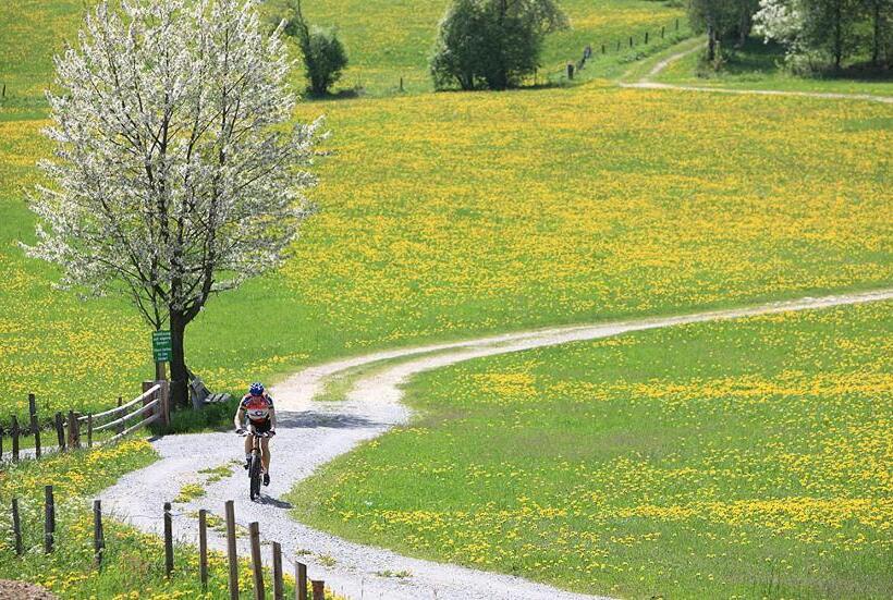 バルコニー付きスタンダードルーム, Feielhof