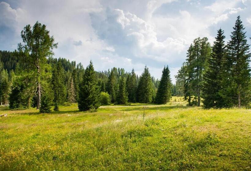 景色の見える一ベッドルームアパートメント, Feielhof