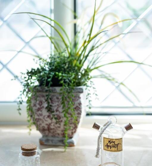 خانه 1 خوابه, Il Giardino Dei Venti